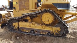 Bulldozer-Cat-D5nXl-0793-12