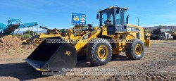 Payloader-Cat-938h-1298-17