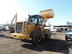 payloader-cal-966d-serie-1083-11